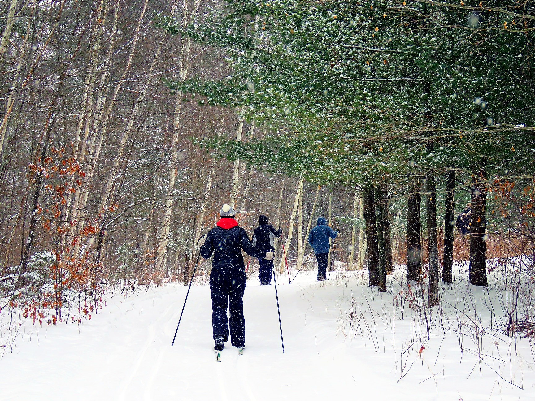 Skiing